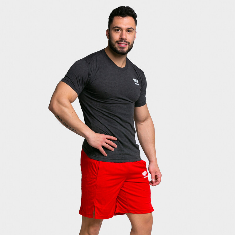Pánské sportovní tričko Iron Aesthetics Classic, černé