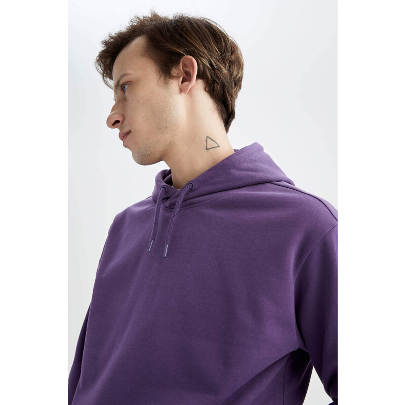 DEFACTO Regular Fit Long Sleeve Sweatshirt