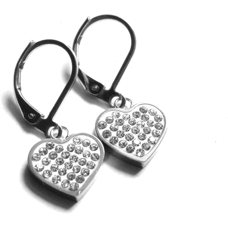 Steel Jewelry Náušnice srdce z chirurgické oceli NS151102