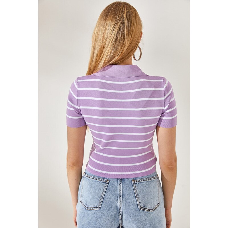 Olalook Women's Lilac Polo Neck Striped Crop Knitwear Blouse