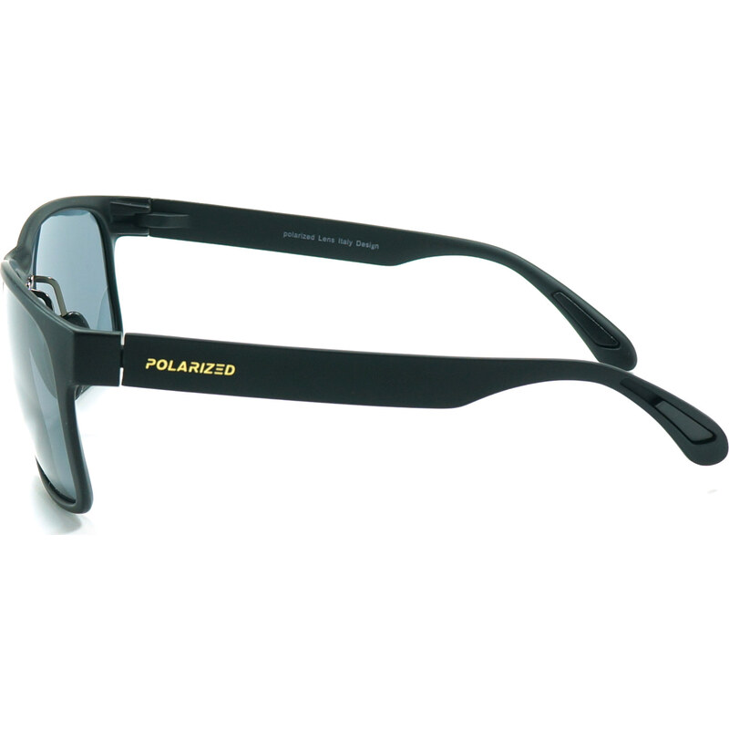 Polarizační brýle POLARIZED SPECIAL 2MF8 černý rám, modré sklo