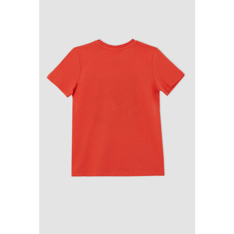 DEFACTO Regular Fit Short Sleeve T-Shirt