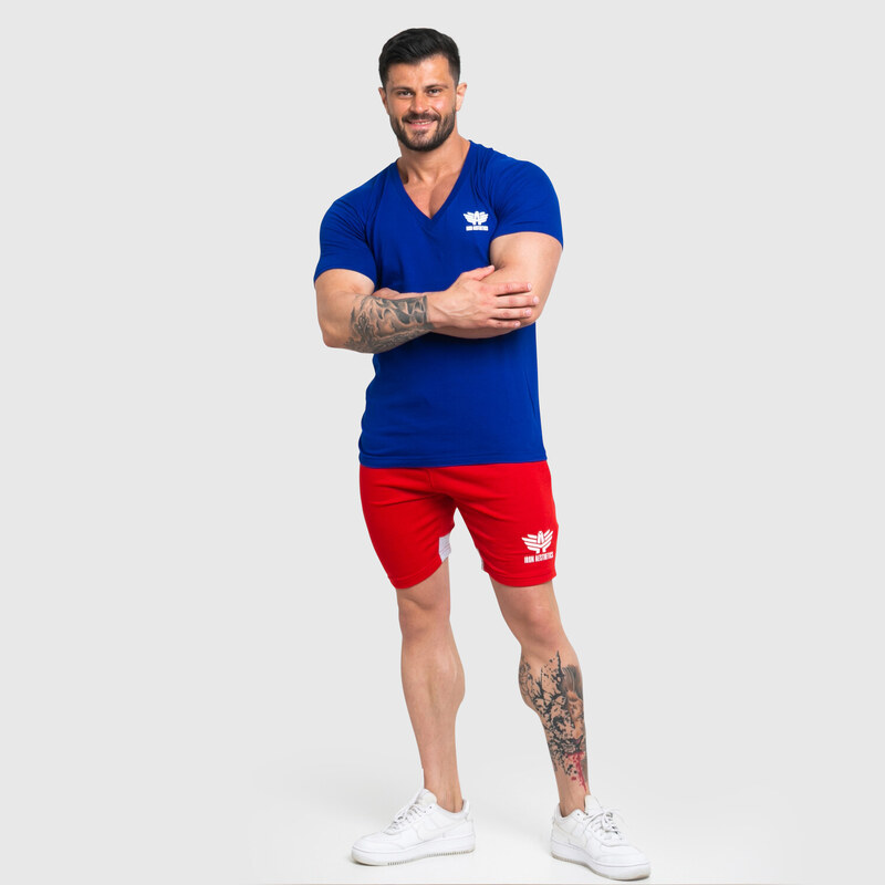 Pánské fitness tričko Iron Aesthetics Original V, modré