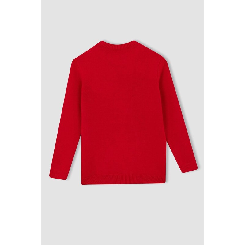 DEFACTO Boy Regular Fit Crew Neck Pullover