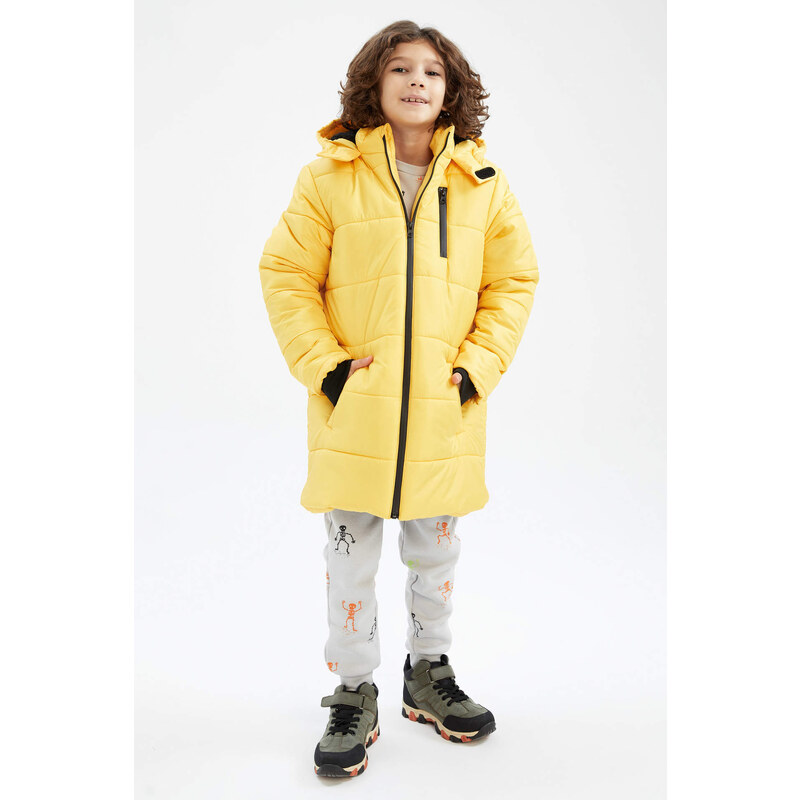 DEFACTO Hooded Plush Coat/Parka