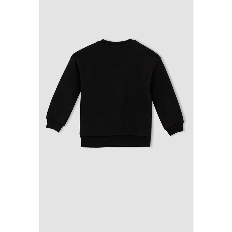 DEFACTO Relax Fit Crew Neck Sweatshirt