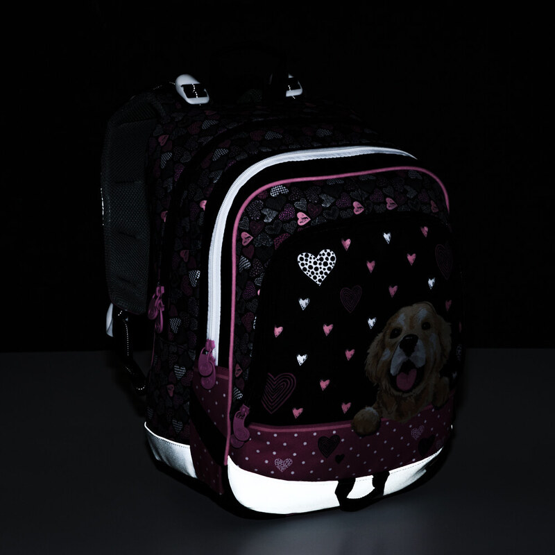 Bagmaster Alfa 21 A Black/pink