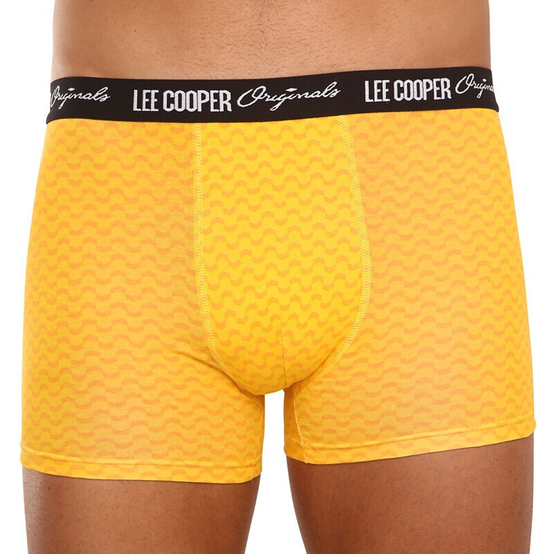 10PACK pánské boxerky Lee Cooper vícebarevné (LCUBOX10P0103-1769862) 3