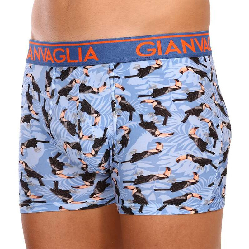 3PACK pánské boxerky Gianvaglia vícebarevné (GVG-5501)