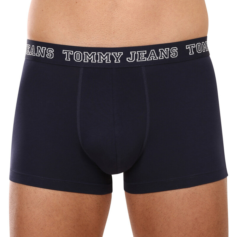 3PACK pánské boxerky Tommy Hilfiger vícebarevné (UM0UM02850 0T6)