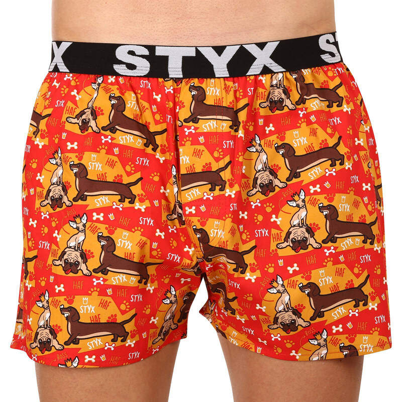 10PACK pánské trenky Styx art sportovní guma vícebarevné (10B131527941508)