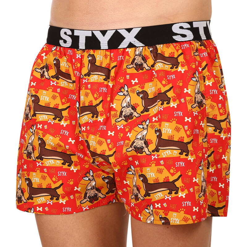 3PACK pánské trenky Styx art sportovní guma vícebarevné (3B13497)