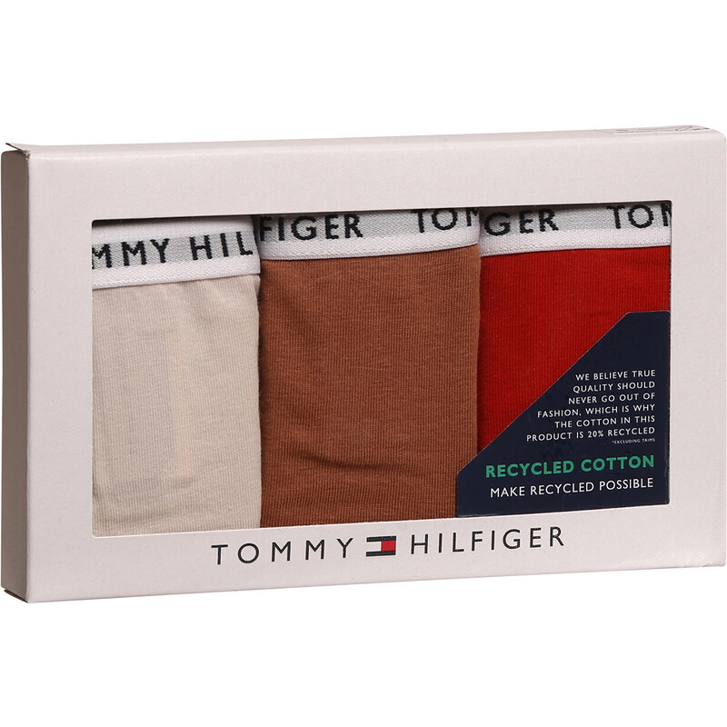 3PACK dámské kalhotky Tommy Hilfiger vícebarevné (UW0UW02828 0R2)