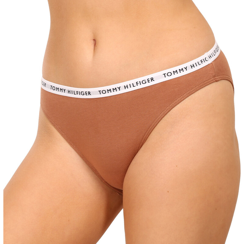 3PACK dámské kalhotky Tommy Hilfiger nadrozměr vícebarevné (UW0UW04023 0R2)