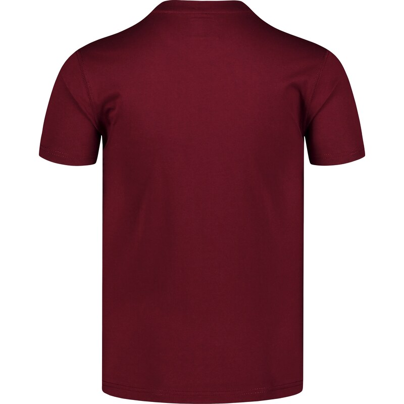 Nordblanc Vínové pánské tričko z organické bavlny COMPANY