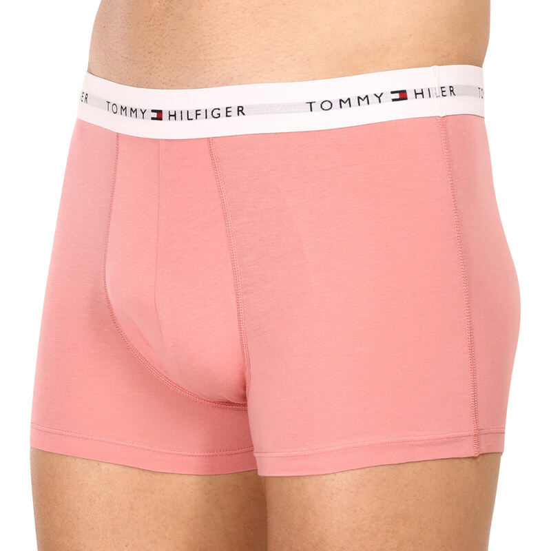 3PACK pánské boxerky Tommy Hilfiger vícebarevné (UM0UM02761 0R4)