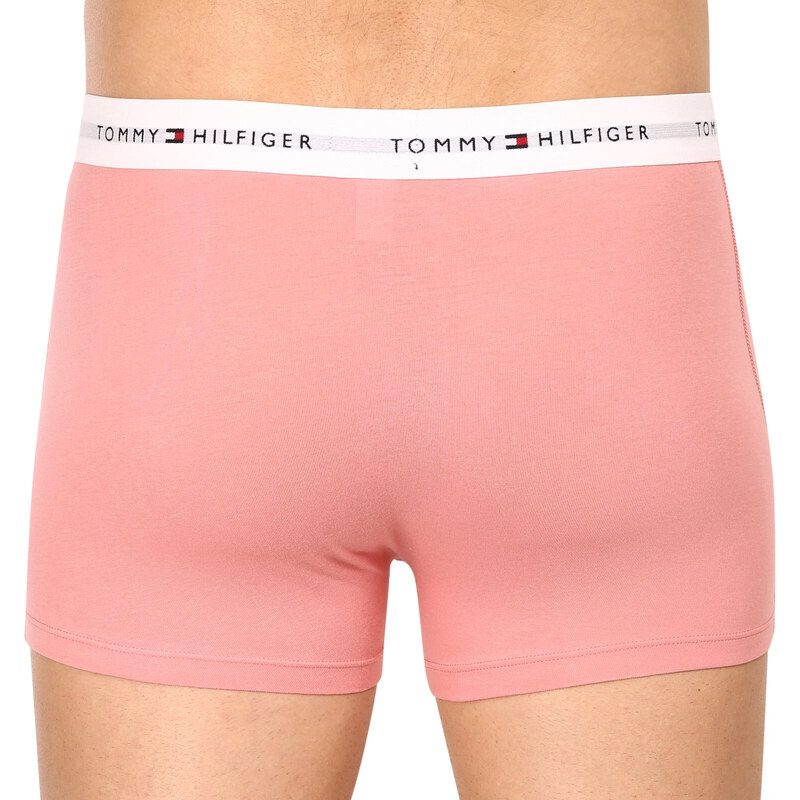 3PACK pánské boxerky Tommy Hilfiger vícebarevné (UM0UM02761 0R4)