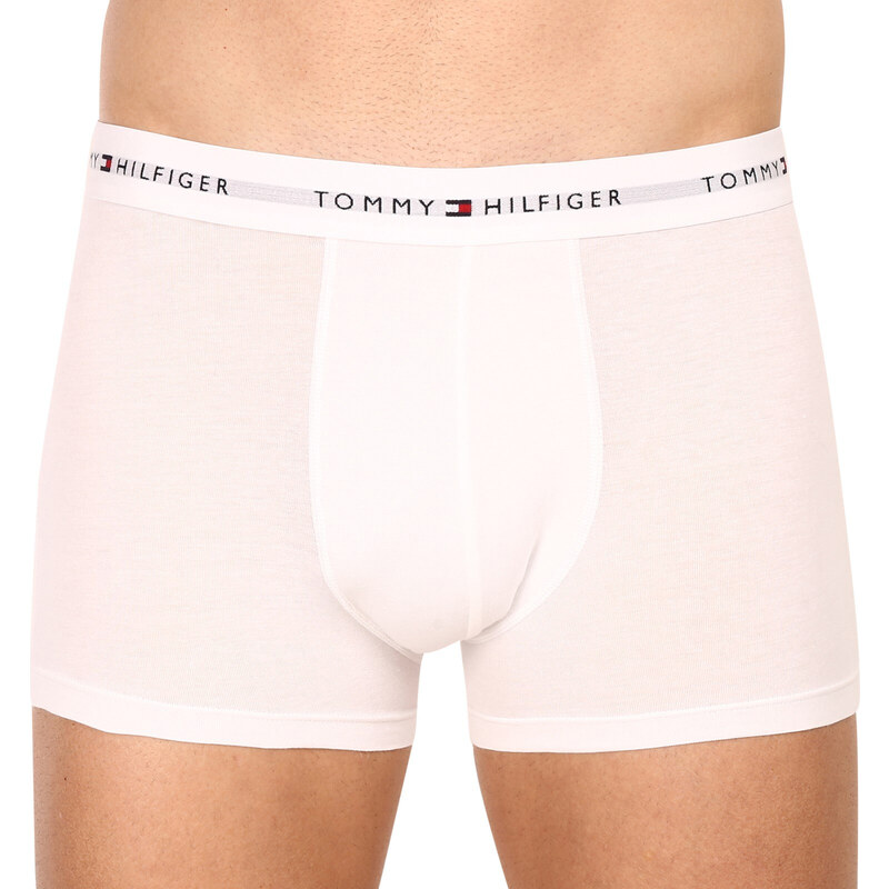 3PACK pánské boxerky Tommy Hilfiger vícebarevné (UM0UM02761 0R4)