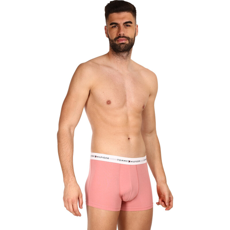 3PACK pánské boxerky Tommy Hilfiger vícebarevné (UM0UM02761 0R4)