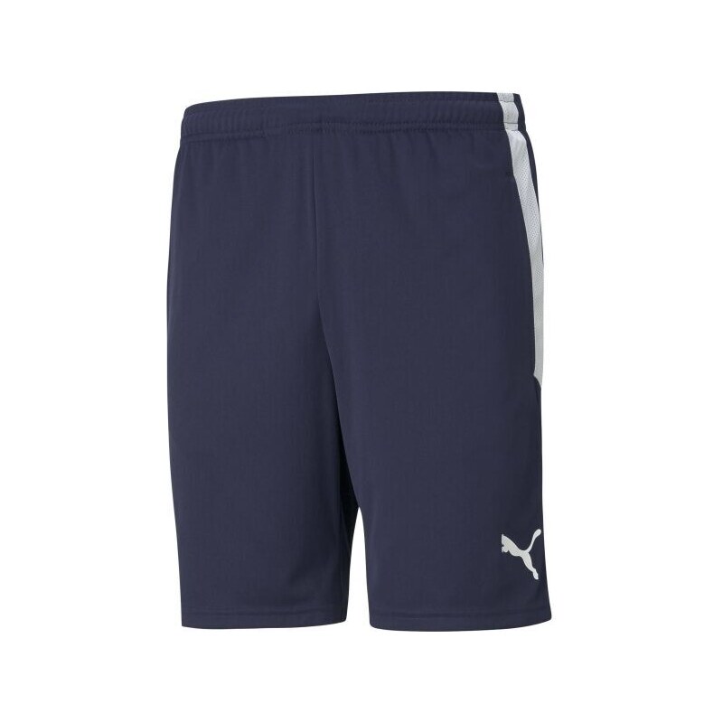Puma TEAM LIGA TRAINING SHORTS Pánské fotbalové kraťasy