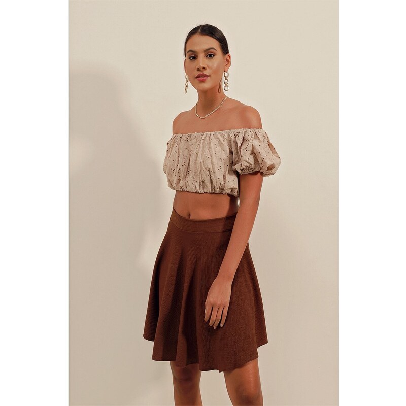 Bigdart 1885 Flare Mini Skirt - Brown