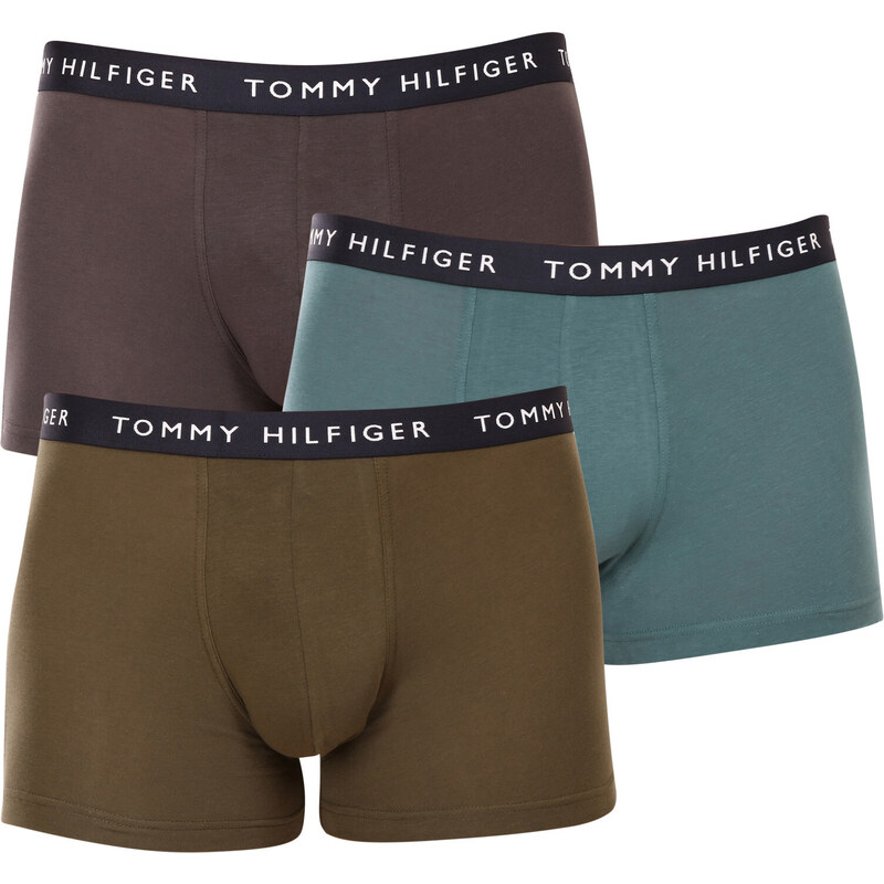 3PACK pánské boxerky Tommy Hilfiger vícebarevné (UM0UM02203 0XX)