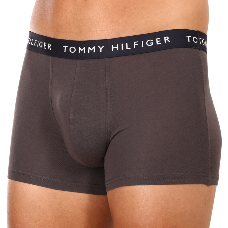 3PACK pánské boxerky Tommy Hilfiger vícebarevné (UM0UM02203 0XX)