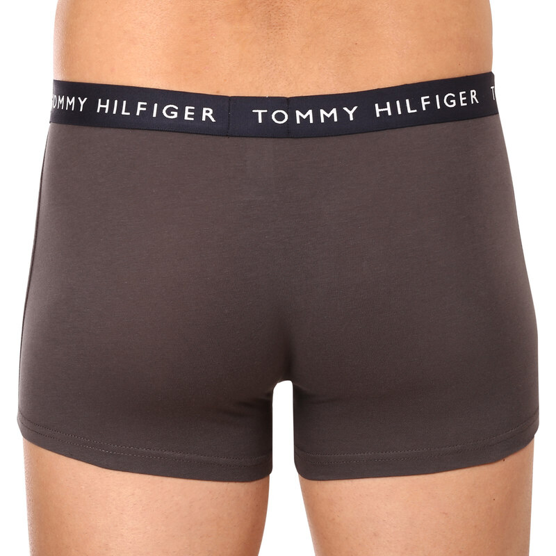 3PACK pánské boxerky Tommy Hilfiger vícebarevné (UM0UM02203 0XX)