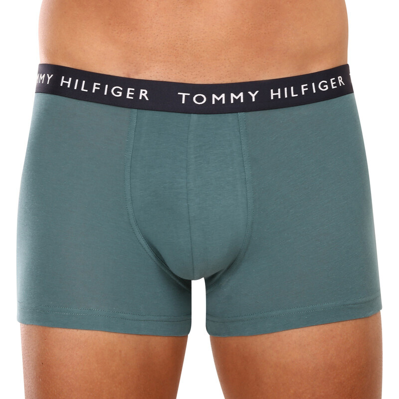 3PACK pánské boxerky Tommy Hilfiger vícebarevné (UM0UM02203 0XX)