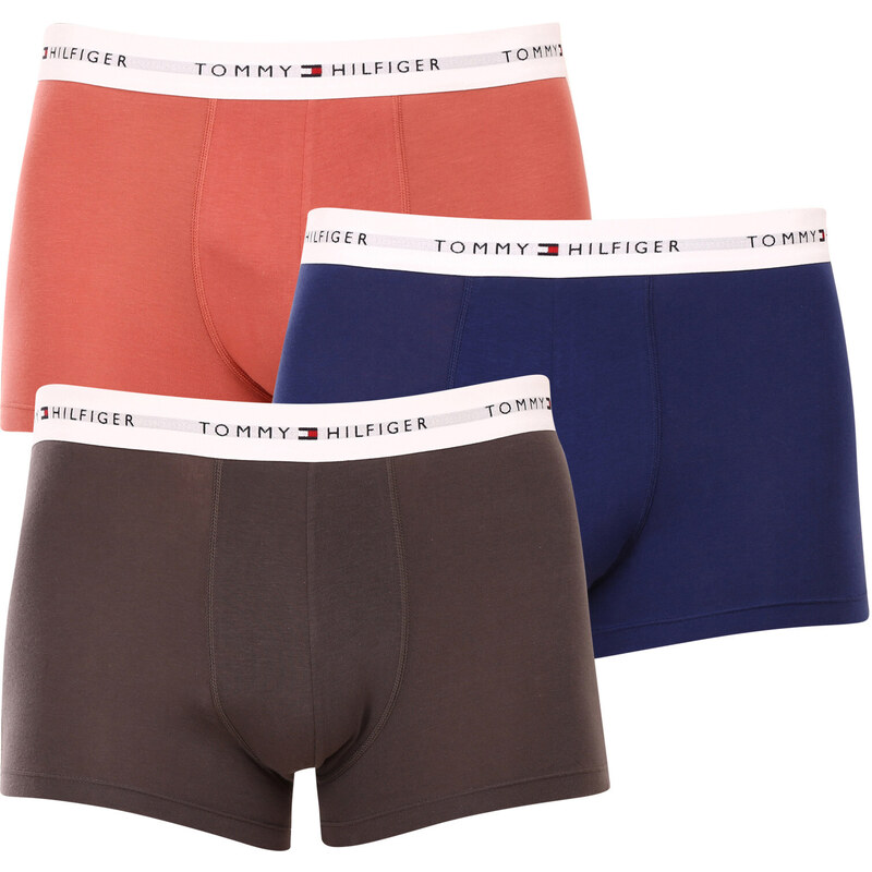 3PACK pánské boxerky Tommy Hilfiger vícebarevné (UM0UM02761 0TF)