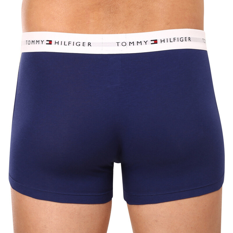 3PACK pánské boxerky Tommy Hilfiger vícebarevné (UM0UM02761 0TF)