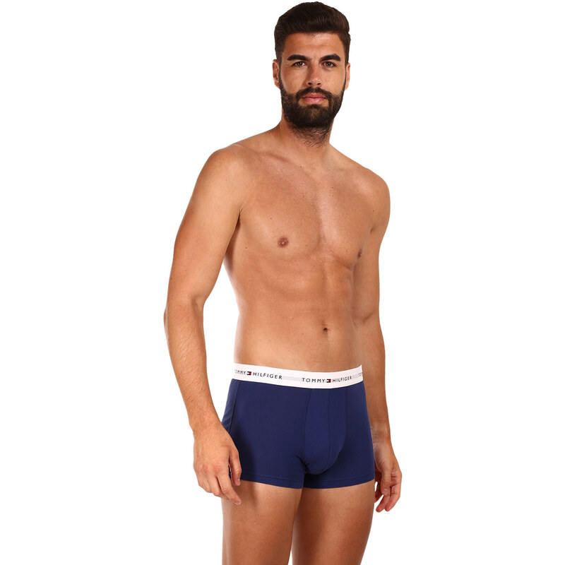 3PACK pánské boxerky Tommy Hilfiger vícebarevné (UM0UM02761 0TF)