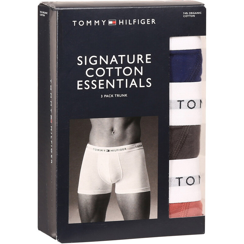 3PACK pánské boxerky Tommy Hilfiger vícebarevné (UM0UM02761 0TF)