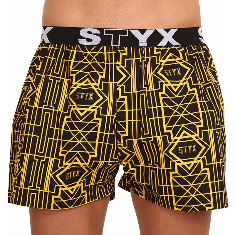 10PACK pánské trenky Styx art sportovní guma vícebarevné (10B113602267598)