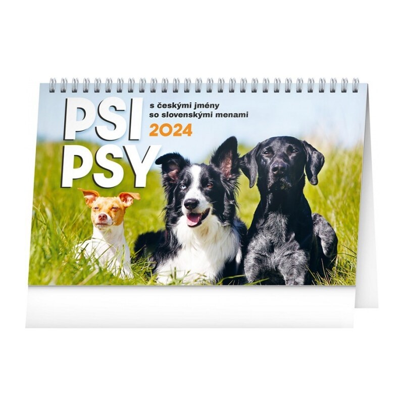 PRESCO GROUP, a.s. Stolní kalendář Psi – Psy CZ/SK 2024 PGS-32629-24