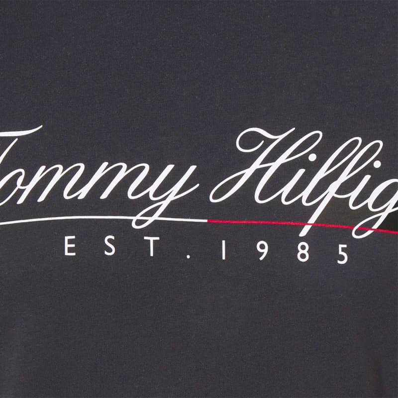 Pánské modré triko Tommy Hilfiger 22166