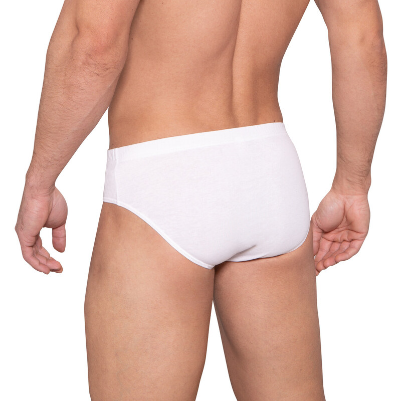 Pánské slipy A2 model 22067272 - Lama