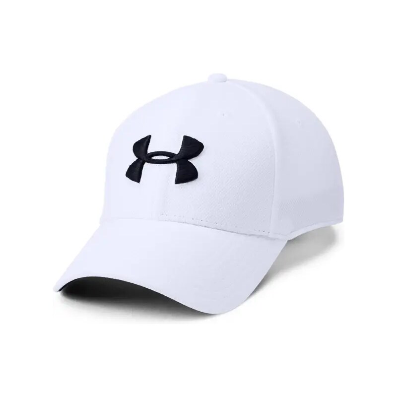 Pánská kšiltovka Under Armour