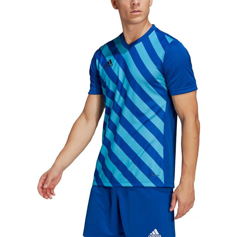 Pánský dres Entrada 22 Graphic Jersey M HF0116 - Adidas