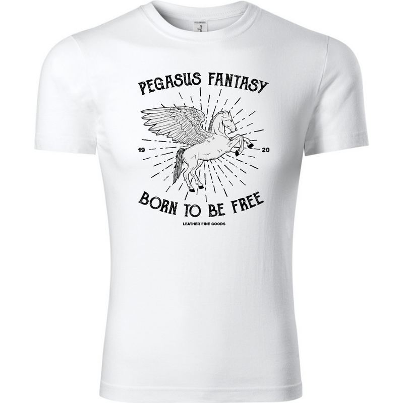 Fenomeno Dětské tričko Pegasus fantasy