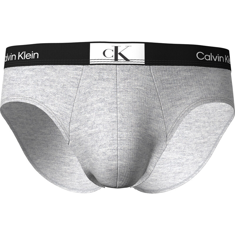 Pánské slipy Briefs CK96 000NB3402AP7A šedá - Calvin Klein