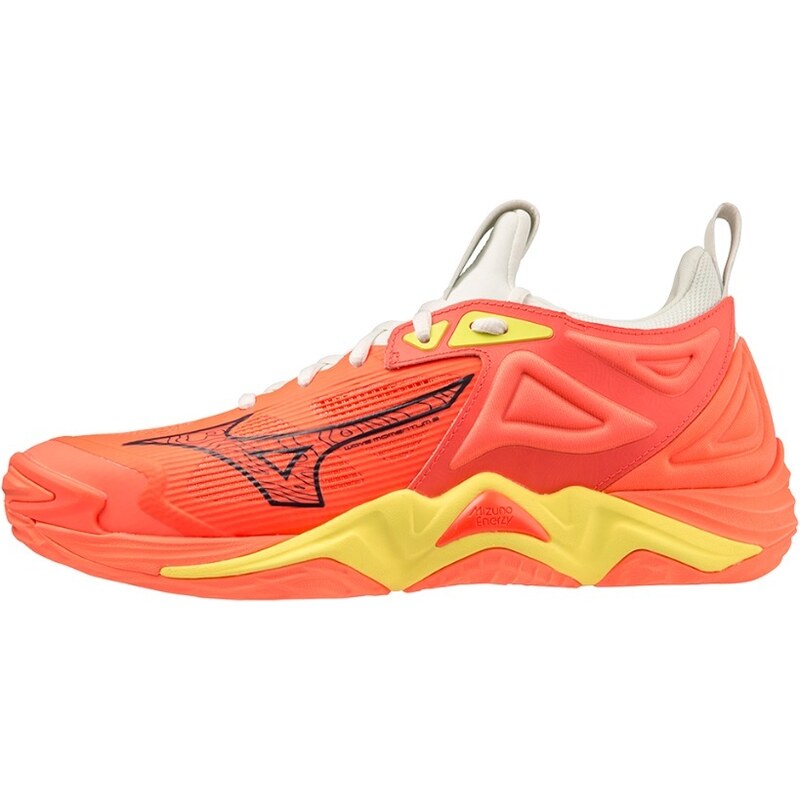 Indoorové boty Mizuno Wave Momentum 3 pánské 108517991