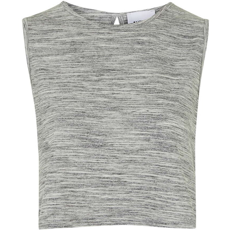 Topshop **Lori Crop Top by Another 8