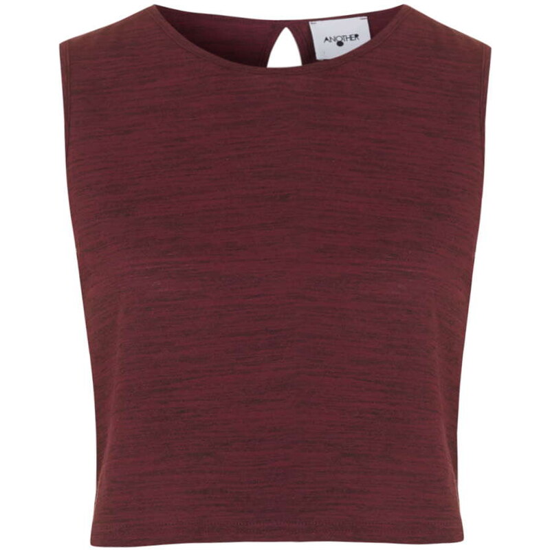 Topshop **Lori Cropped Top by Another 8