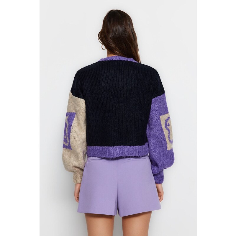 Trendyol Navy Blue Soft Textured Color Block Knitwear Sweater