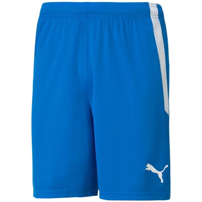 Šortky Puma teamLIGA M 704924 02