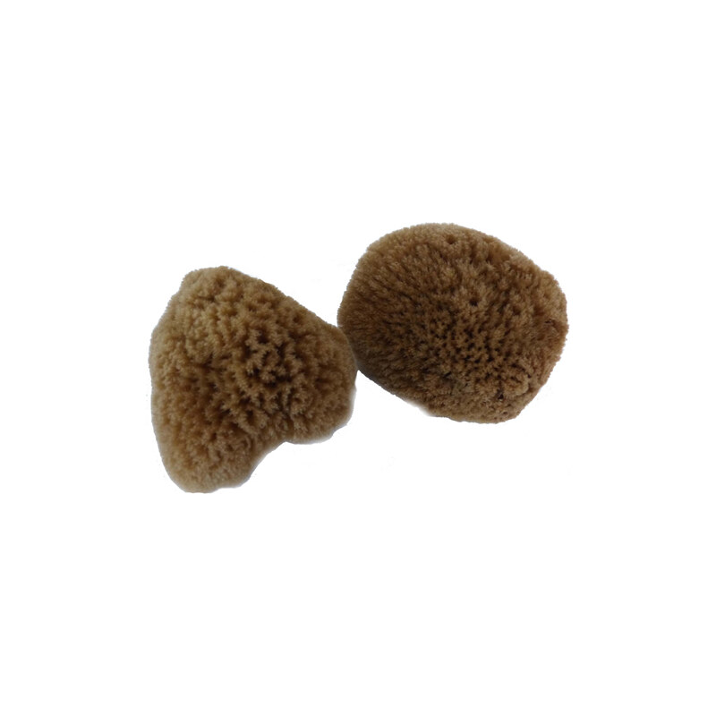 Kosmetická mořská houba minerální Caribbean Sun 5-6 cm (SBS458)