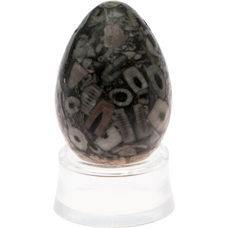 Kamenné vajíčko s otvorem Yoni Spirit zkamenělý korál (YOS21)