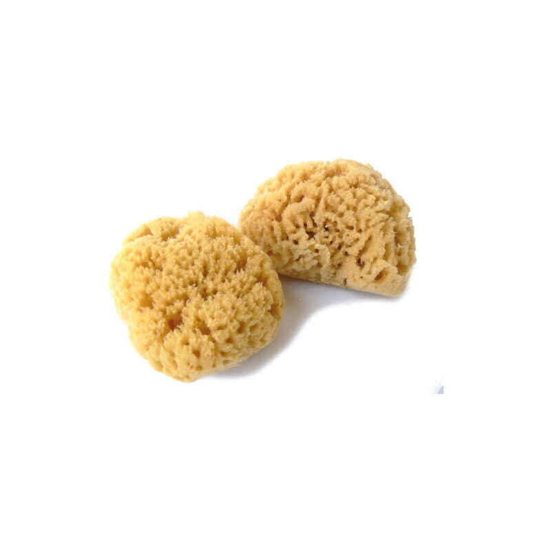 3PACK Kosmetická mořská houba Caribbean Sun 3-5 cm (SPS3171)