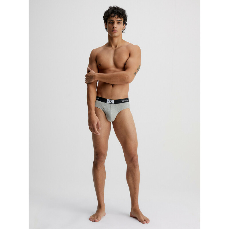 Pánské slipy Briefs CK96 000NB3402AP7A šedá - Calvin Klein